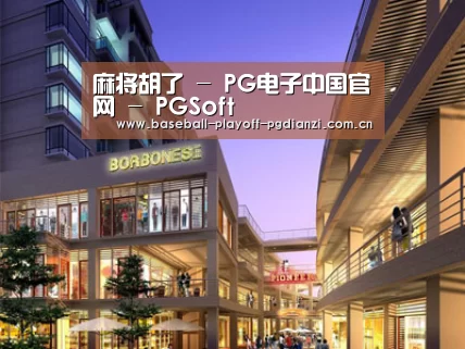 案例展示一(图1)