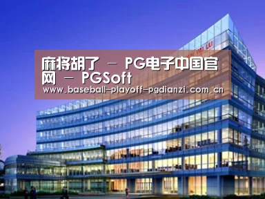 案例展示五