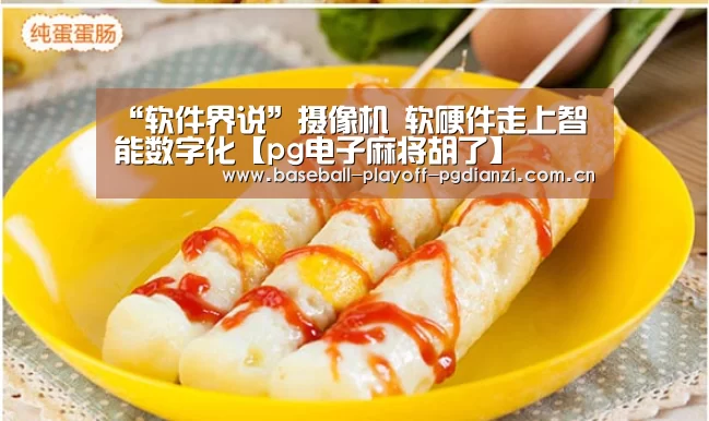 “软件界说”摄像机 软硬件走上智能数字化【pg电子麻将胡了】(图3) pg电子模拟器