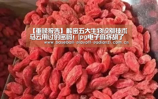 pg电子模拟器