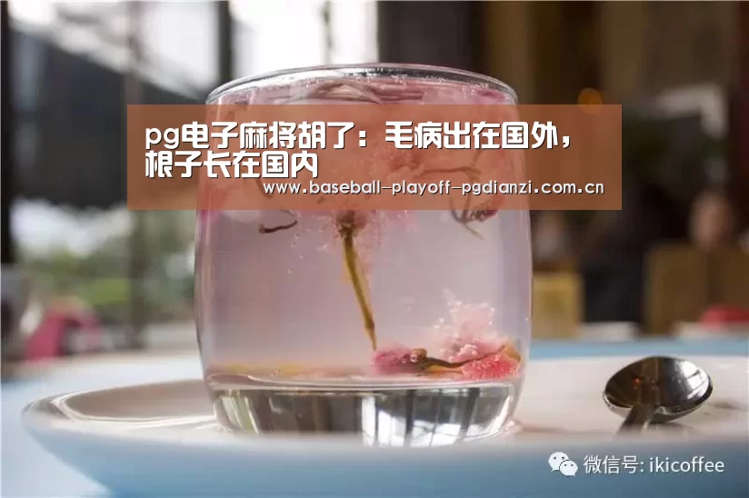 pg电子麻将胡了:毛病出在国外,根子长在国内(图1) pg电子麻将胡了:毛病出在国外,根子长在国内(图1)